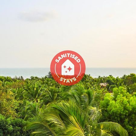 Oyo 13311 The White Feather Hotel Mandrem Bagian luar foto