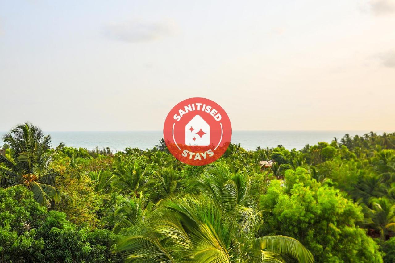 Oyo 13311 The White Feather Hotel Mandrem Bagian luar foto